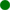 Point vert