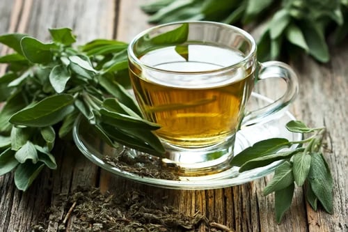 Beneficios do cha verde 13571